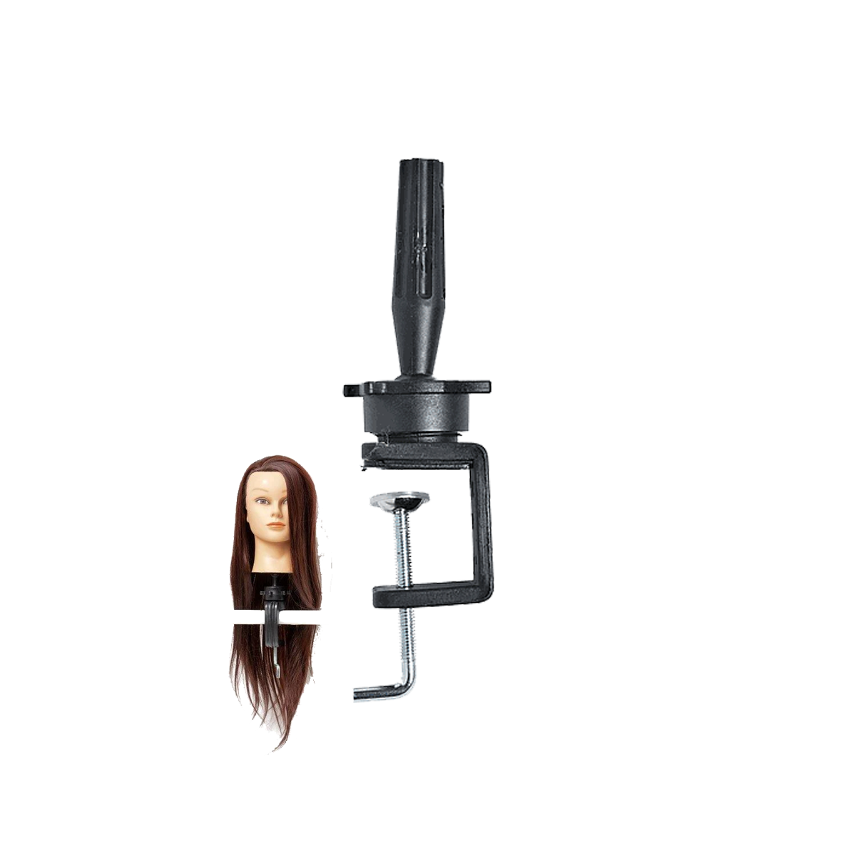 Cabeza de Estudio 091 Holder Nº5
