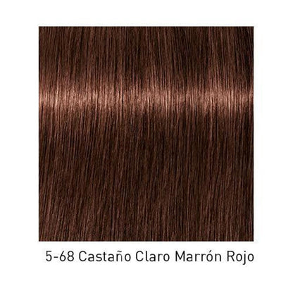 Tinte Schwarzkopf Igora Royal en depósito con tonos vibrantes para coloración capilar profesional.
