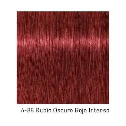 Tinte Schwarzkopf Igora Royal de color rubio oscuro en botella con tubo aplicador, para coloración capilar profesional.
