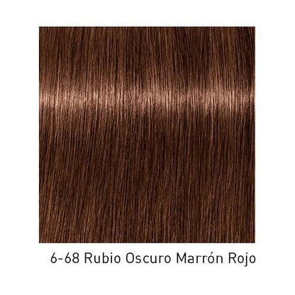 Tinte Schwarzkopf Igora Royal en tono 11126, muestra el producto en su envase con la etiqueta visible.