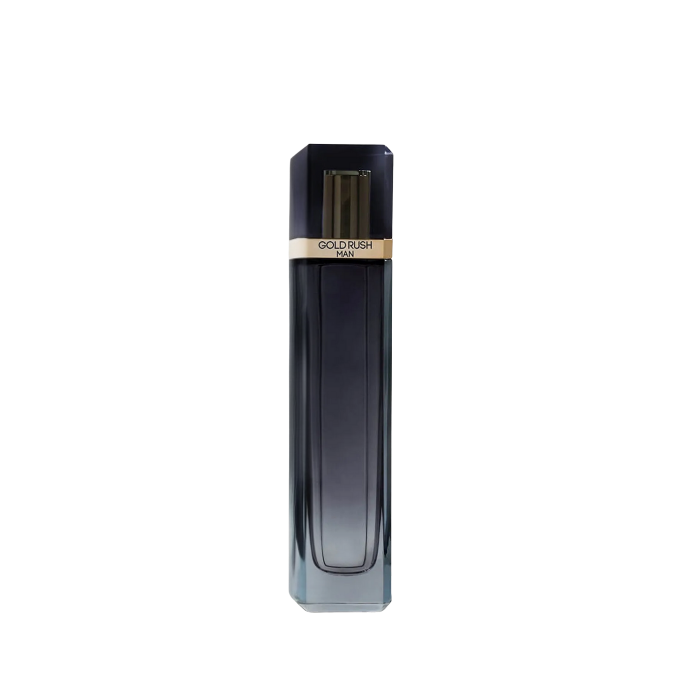 Paris Hilton Gold Rush Men Eau de Toilette/Parfum 100 ml – Hombre