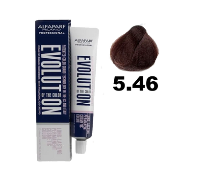 Tinte Evolution de Alfaparf en caja con frascos y guantes para aplicación del color de cabello.