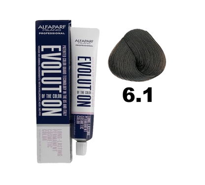 Tinte Evolution de Alfaparf en tubo, muestra el color rubio oscuro 6.1, con envase y etiqueta visible.